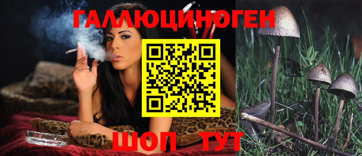 Псилоцибиновые грибы мухоморы Альметьевск